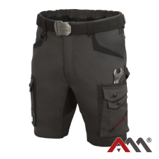 PROFESSIONAL 4 DYNAMIC 4752 — slim fit stretch work shorts, 4-way stretch, tool pockets, graphite